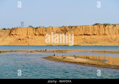 Long Shot der Chambal und Vögel, Rajasthan, Indien Stockfoto