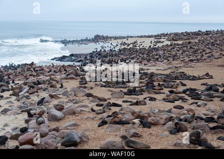 Seelöwen Abdeckung der Strand am Cape Cross, Namibia Stockfoto