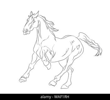 Pferd läuft, Linien, Vector, weißer Hintergrund Stock Vektor