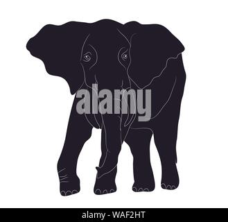 Elefant geht weiter Zeichnung Silhouette, Vector, weißer Hintergrund Stock Vektor