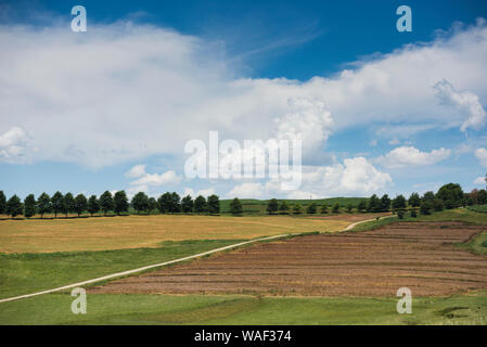 Eine unbefestigte Straße reist durch offene mehrfarbige Ackerland mit bewölktem Himmel und Bäume am Horizont. Stockfoto