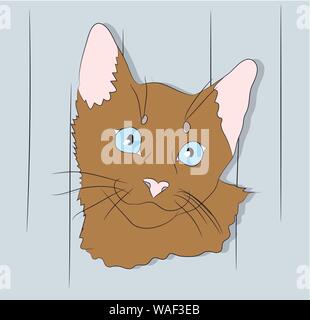 Graue Katze mit grünen Augen im Zimmer sitzen, Vektor. Stock Vektor