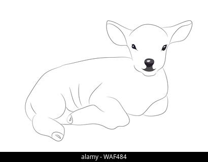 Lamm liegt zeichnen Linien, Vector, weißer Hintergrund Stock Vektor