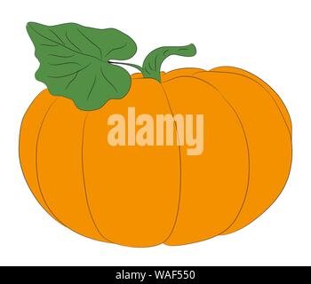 Gemüse und Früchte Muster Farbe, Vector, weißer Hintergrund Stock Vektor