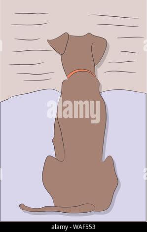 Hund in einem Zimmer, Vektor sitzen, Farbe Stock Vektor