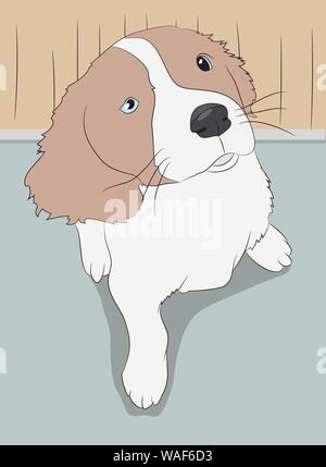 Hund in einem Zimmer, Vektor sitzen, Farbe Stock Vektor