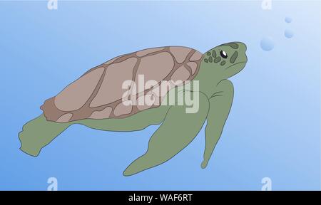 Schildkröte schwimmt unter Wasser, Vector, blaue Meer Stock Vektor