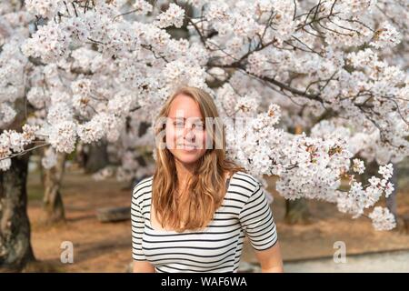 Touristische, junge Frau zwischen blühenden Kirschblüten, japanische Kirschblüte im Frühling, Tokio, Japan Stockfoto