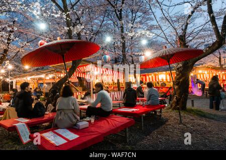 Imbissstände im Cherry Blossom Festival, Hanami, Japanisch unter blühenden Kirschbäumen feiern, Abendstimmung, Hirano shrine, Kyoto, Japan Stockfoto