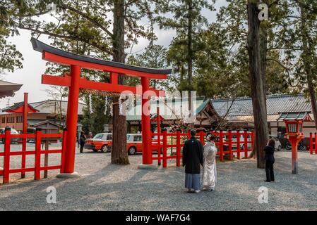 Hochzeit paar vor Torii, japanische Hochzeit, Yamakage-Jinja Schrein, Kyoto, Japan Stockfoto