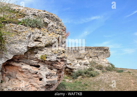 Felsen und bleibt auf Kap Kaliakra Bulgarien Stockfoto