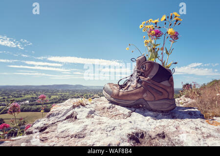 Wanderer Wanderschuhe mit Wildblumen ruht auf einem Berg Trail mit entfernten Blick auf Landschaft im Sommer Sonnenschein Stockfoto