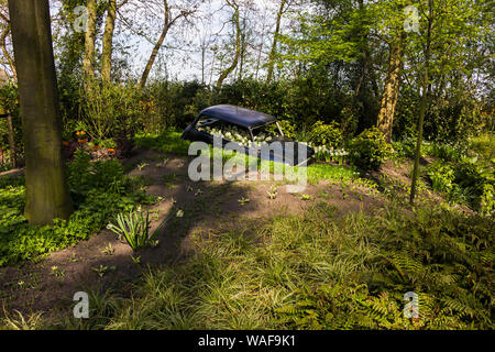 Keukenhof, Lisse, Niederlande - 18 April 2019: Der Blick auf Blumenbeet mit weißen und gelben Narzissen von alten Auto in den Keukenhof Park, und die Welt Stockfoto
