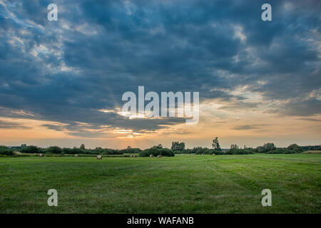 Die untergehende Sonne hinter Wolken am Himmel, Horizont und Grüne Wiese Stockfoto