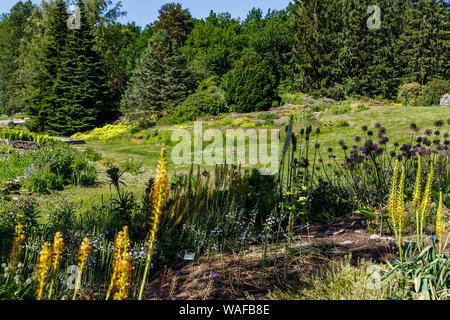 Wunderschöne Landschaft Design im Botanischen Garten von Tallinn, Estland Stockfoto