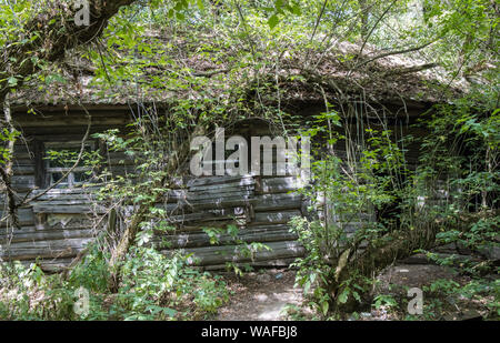 Sperrzone von Tschernobyl - Zarissya Dorf - Verlassenes Haus Stockfoto