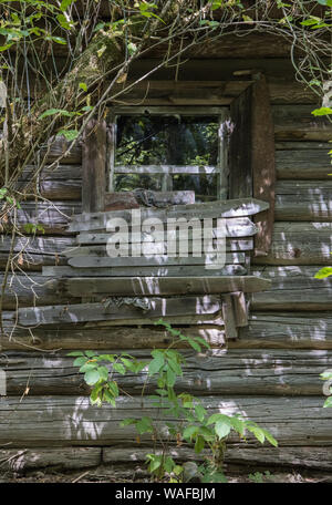 Sperrzone von Tschernobyl - Zarissya Dorf - Verlassenes Haus Stockfoto