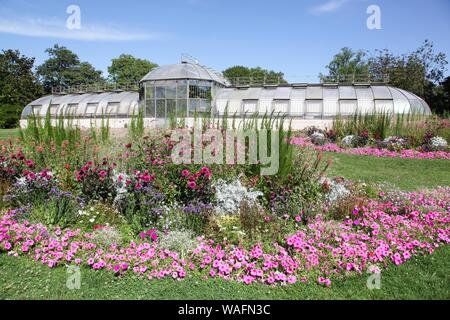 Holland Gewächshaus von Agave im Park des goldenen Kopf in Lyon, Frankreich Stockfoto