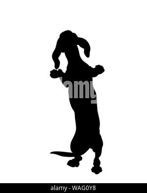 Hund steht, Silhouette, Vector, weißer Hintergrund Stock Vektor