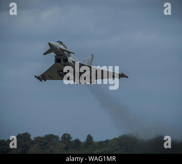 RAF Eurofighter Typhoon Jet mit Rauch hinter sich und befindet sich am oberen Ende der Bäume mit. Plain Himmel mit kopieren. Stockfoto