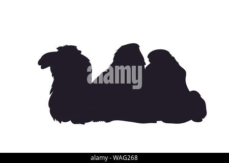 Vector Illustration eines Kamels, Lügen, Zeichnung Silhouette, Vector, weißer Hintergrund Stock Vektor