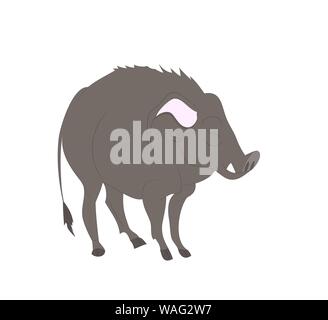 Vector Illustration eines Wildschwein steht, Farbe, Vector, weißer Hintergrund Stock Vektor
