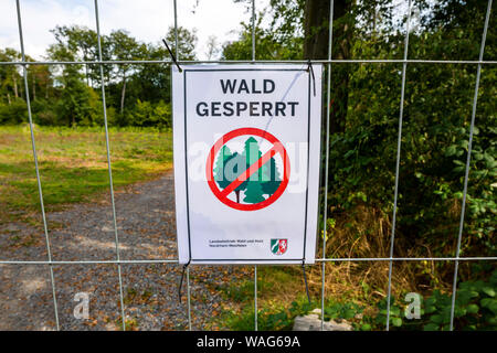 Abgrenzung, Masse Barriere, Straßensperre, Abwehr, Zweig, Zweig, Außenansicht, field recording, Barriere, Barricade, Baum, Baum, Baum dama Stockfoto