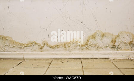 Grosse nasse Flecken und Risse und schwarzen Schimmel an der Wand in der Nähe von Mehl in inländischen Haus Zimmer nach starkem Regen und viel Wasser - Bild Stockfoto