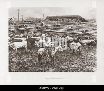 Stock Yards, Kansas City, Missouri, USA, im späten 19. Jahrhundert. Aus dem Buch, die Vereinigten Staaten von Amerika - 100 Albertype Illustrationen aus den letzten negativen der Bekanntesten Szenen unseres Landes, veröffentlicht 1893. Stockfoto