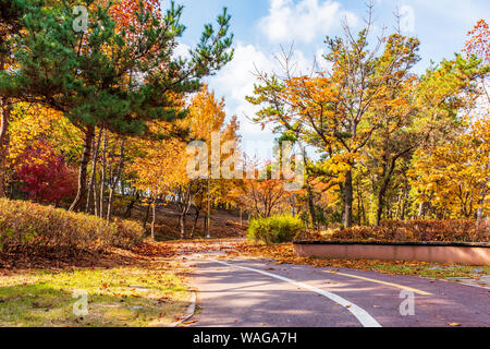 Herbst Straße in den Park, Seoul, Korea. Stockfoto