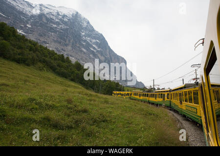 Die wengernalpbahn Zug von der Kleinen Scheidegg nach Grindelwald, Berner Oberland, Schweiz: die Eiger Nordwand auf der linken Seite Stockfoto