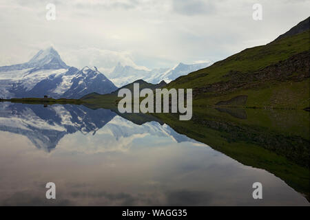 Nahezu perfekt reflektierende Hochberge am Bachsee: Das Schreckhorn links, Berner Oberland, Schweiz Stockfoto