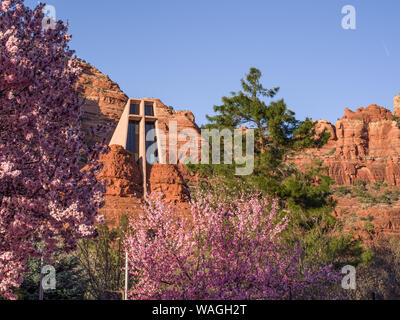 Sedona im Frühjahr - Kapelle des Heiligen Kreuzes durch rote Felsen, grünen Bäumen und blühenden Bäume im Vordergrund Stockfoto