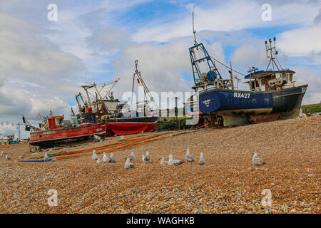 Eine Flotte von Fischerbooten Strände nach dem Morgen fangen mit Möwen warten auf piunce, Altstadt, Hastings, East Sussex, Großbritannien Stockfoto