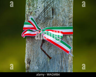 Schleife in den Farben der Ungarischen Fahne auf dem Holzbalken mit schönen natürlichen, grünen Hintergrund. Ungarischen Staatsangehörigen Farben Ribbon. Stockfoto