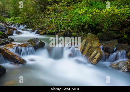 Kleiner Wasserfall im Wald Fluss unter Felsbrocken bedeckt mit Moos. Mit langen Exposition berücksichtigt. Schönen frischen Natur Hintergrund. Stockfoto