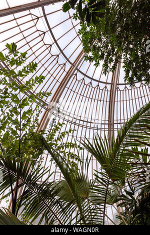 Im Palmenhaus, Gewächshaus, von Charles Lanyon, Royal Botanic Gardens, Kew, London Borough von Richmond upon Thames, England, Vereinigtes Königreich, Stockfoto