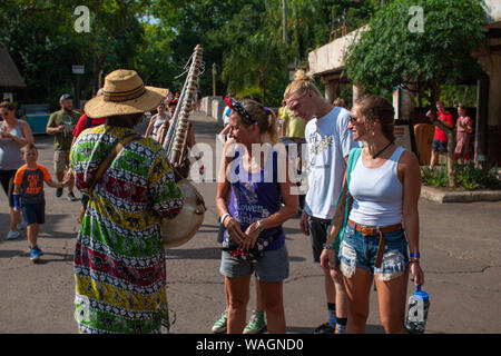 Orlando, Florida. August 14, 2019. Afrikanische Musiker spielen, typische Streichinstrument im Tierreich Stockfoto