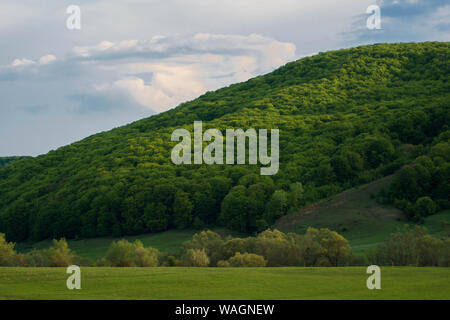 Bewölkter Himmel und Hügel Wiese. Schöne grüne Hügel und Schöne bewölkten Himmel. Wunderschöne grüne rolling Hill im Sommer. Schönen grünen Wiese am Hang. Stockfoto