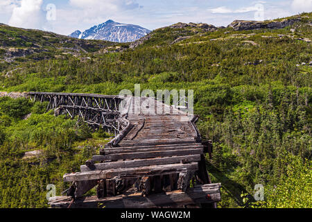 Historische Stahlbrücke über den White Pass rail Route 18 Meilen nördlich von skagway Alaska von Wald und Bergen umgeben Stockfoto