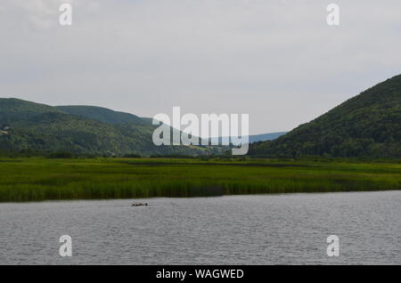 Sommer in Nova Scotia: Auf der Suche nach unten Margaree Valley entlang Margaree River auf Cape Breton Island Stockfoto