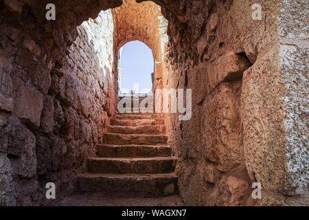 Ajloun Schloss, auch als Rabad Burg Ajloun, Jordanien, Amman, عجلون قلعة, قلعة عجلون bekannt Stockfoto