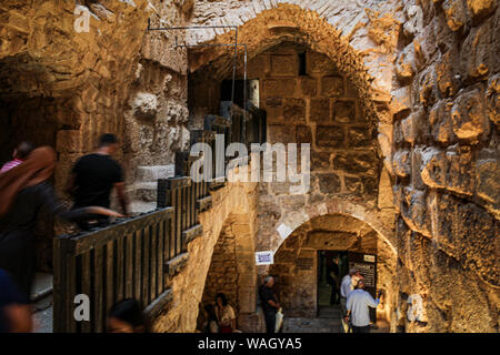 Ajloun Schloss, auch als Rabad Burg Ajloun, Jordanien, Amman, عجلون قلعة, قلعة عجلون bekannt Stockfoto