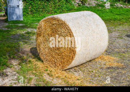 Nahaufnahme von einem Ballen Stroh Heu auf einem ländlichen Bauernhof. Stockfoto