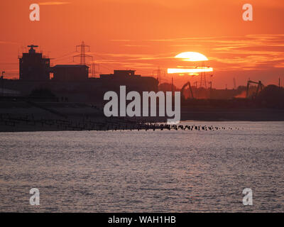 Sheerness, Kent, Großbritannien. 20. August 2019. UK Wetter: Heute abend sonnenuntergang in Sheerness, Kent. Blick Richtung Garnison Point/Sheerness Docks. Credit: James Bell/Alamy leben Nachrichten Stockfoto