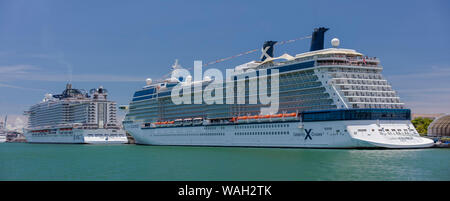 Kreuzfahrtschiffe Miami Stockfoto