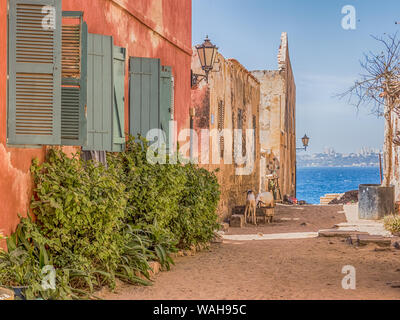 Goree, Senegal - Februar 2, 2019: das tägliche Leben, sandigen Weg auf die Insel Goree und Blick auf die Stadt Dakar Gorée. Dakar, Senegal. Afrika. Stockfoto