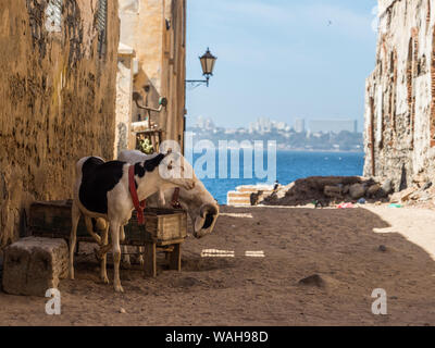 Goree, Senegal - Februar 2, 2019: das tägliche Leben, sandigen Weg auf die Insel Goree und Blick auf die Stadt Dakar Gorée. Dakar, Senegal. Afrika. Stockfoto