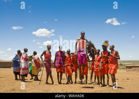 Gruppe von Massai Männer ihre springen Tanzen, Feiern der Ritus der Passage junge Männer in die nächste Phase ihres Lebens, Kenia willkommen zu heißen, Osten Afric Stockfoto