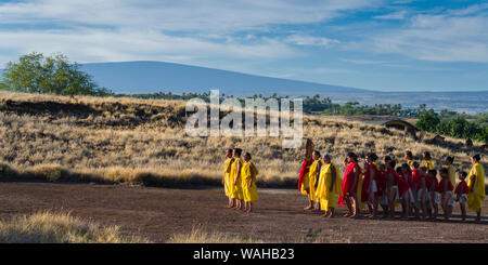 Hula halu am Kulturfestival in Pu'ukohala Heiau NP auf Hawaii Insel durchführen Stockfoto